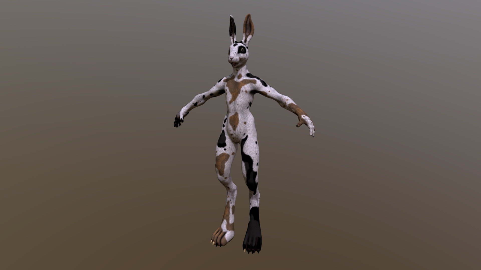 Calico Rabbit - Download Free 3D model by akazi [e6c04cb] - Sketchfab