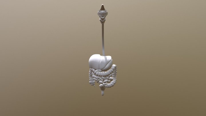 Organs Only 3D Model