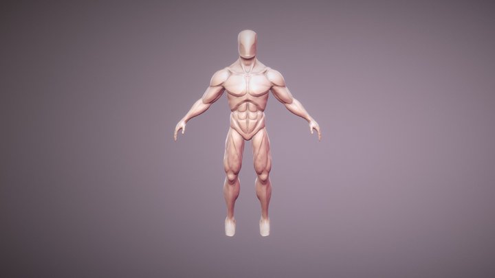 Male Body Speed Sculpt 3D Model