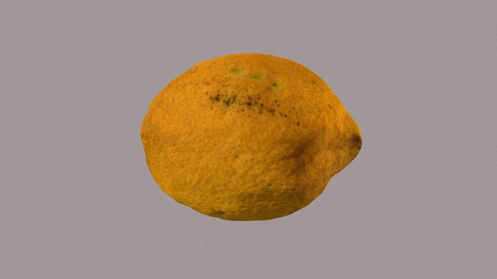 Limón 3D Model