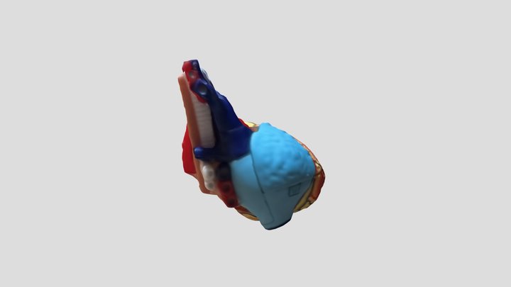 Myhart
