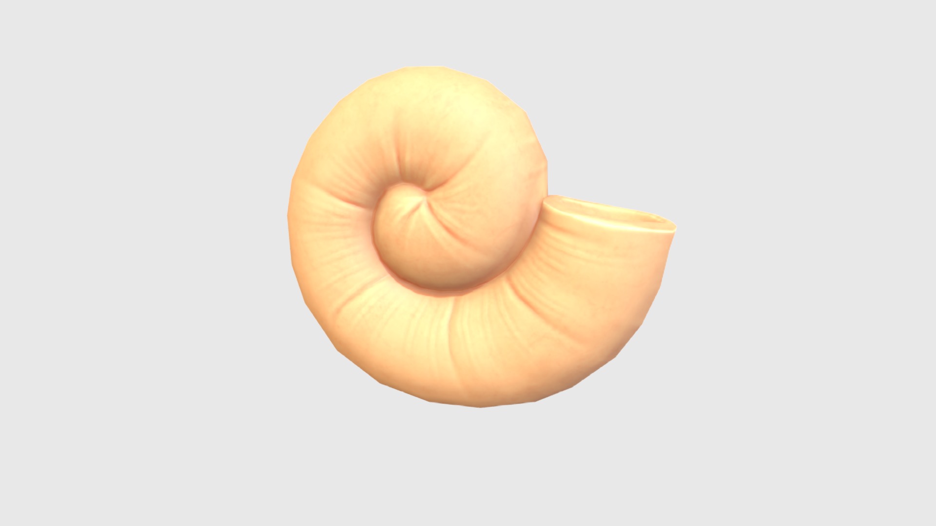 3D model Ammonite - This is a 3D model of the Ammonite. The 3D model is about a close-up of a human foot.