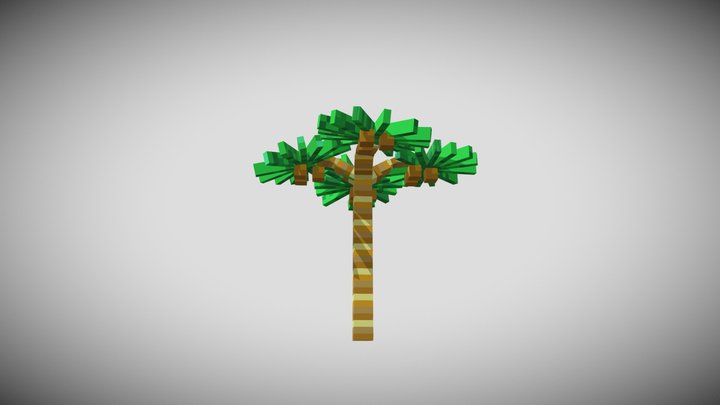 coconut tree 3D Model