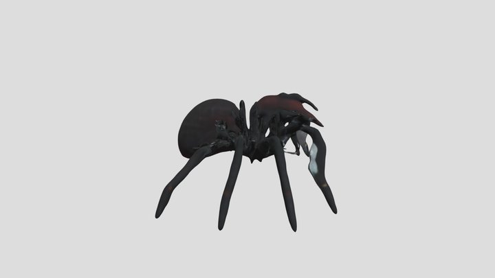 big spider.fbx 3D Model