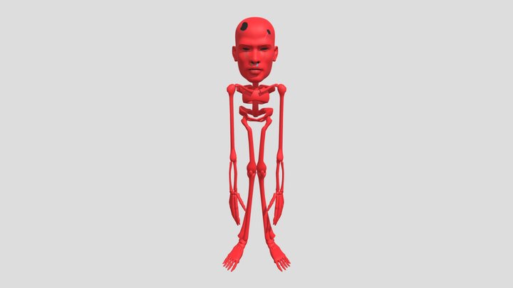 Jolly 3 Skeleton FAN MODEL 3D Model