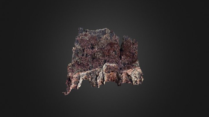 Gooseneck Barnacles: Patch 4 3D Model
