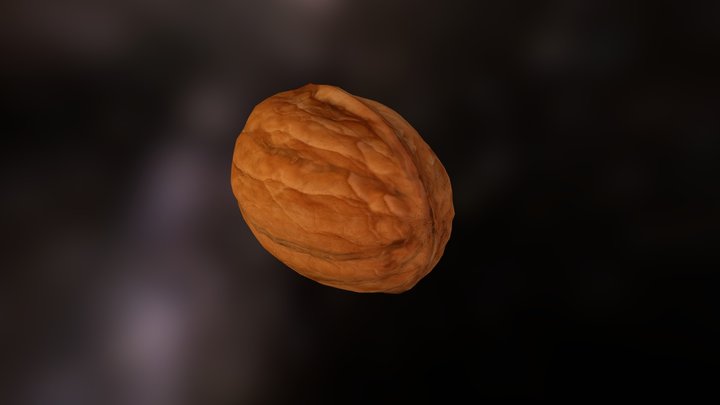 Walnut 3D Model