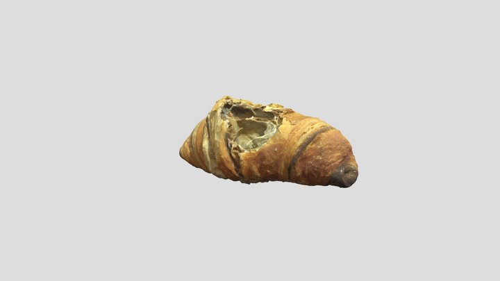 3DScan_Croissant_Efraim 3D Model