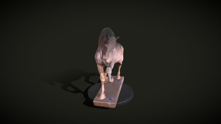 AnatomiaCaballo_Ecorche 3D Model
