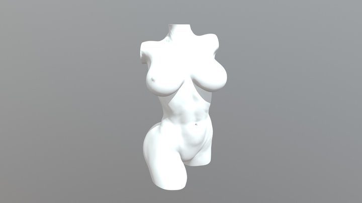 Torso 3D Model