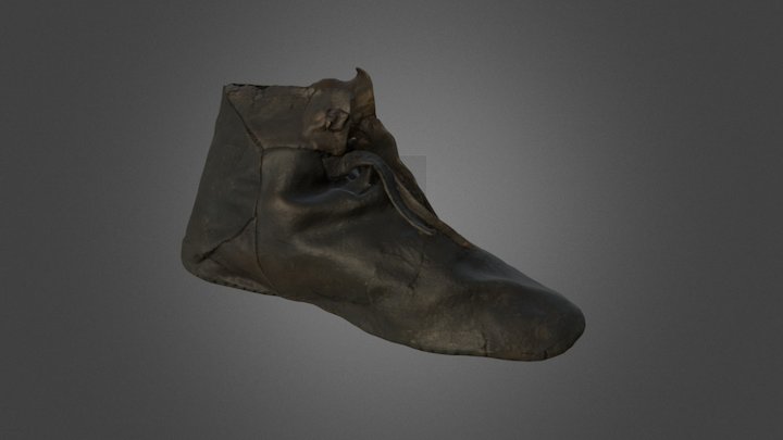 Leren Schoen 3D Model
