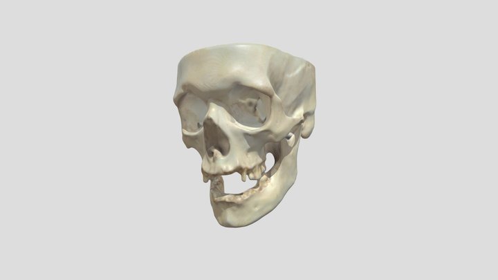Project2_1 3D Model