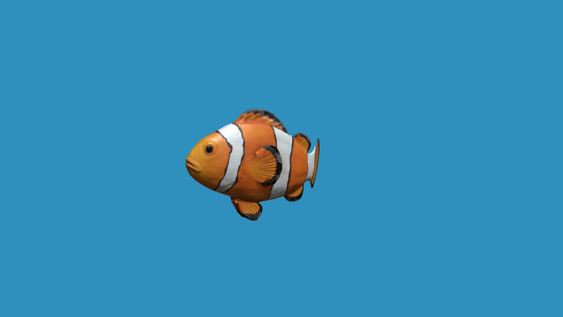 Clownfish - Download Free 3D model by kenchoo [e6db2c1] - Sketchfab