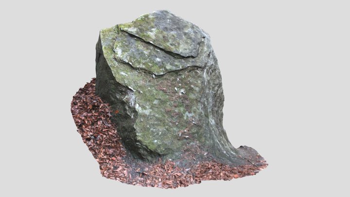 Rock Scan 008 3D Model