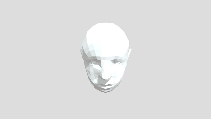 3D_Portret_Bram 3D Model