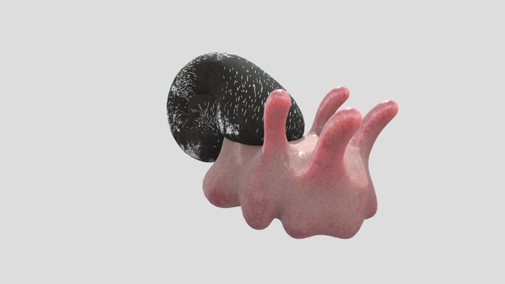 Shudder 3D Model