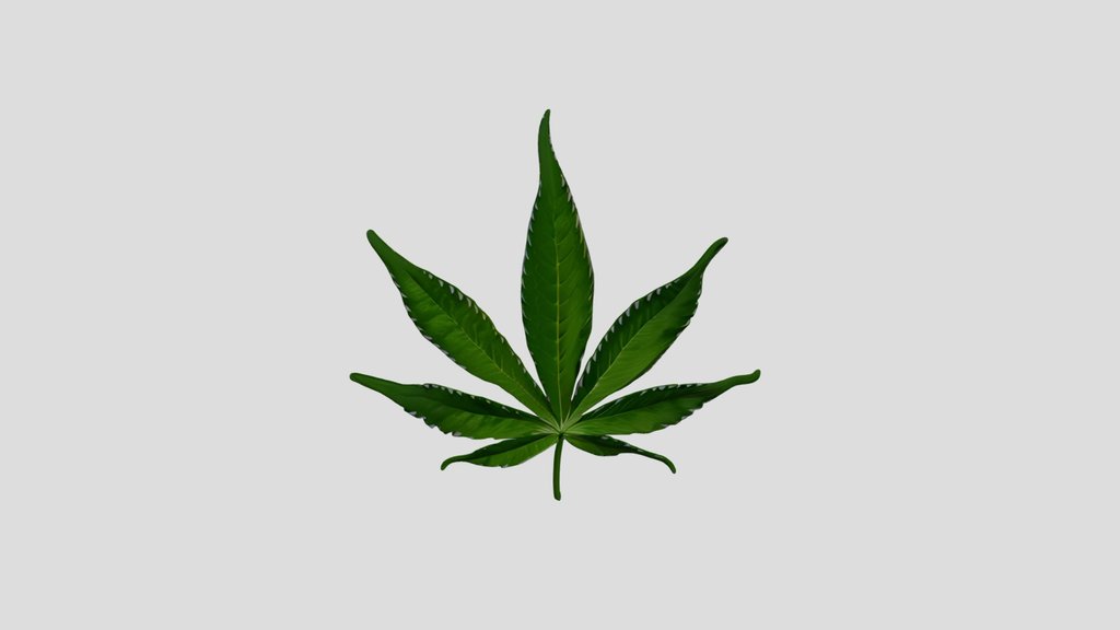 Weed Drugs marijuana flower