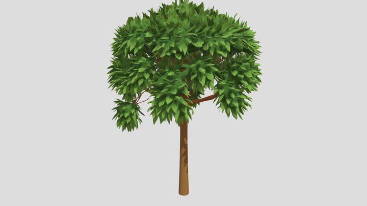 Tree Catoorn Free 3D Model