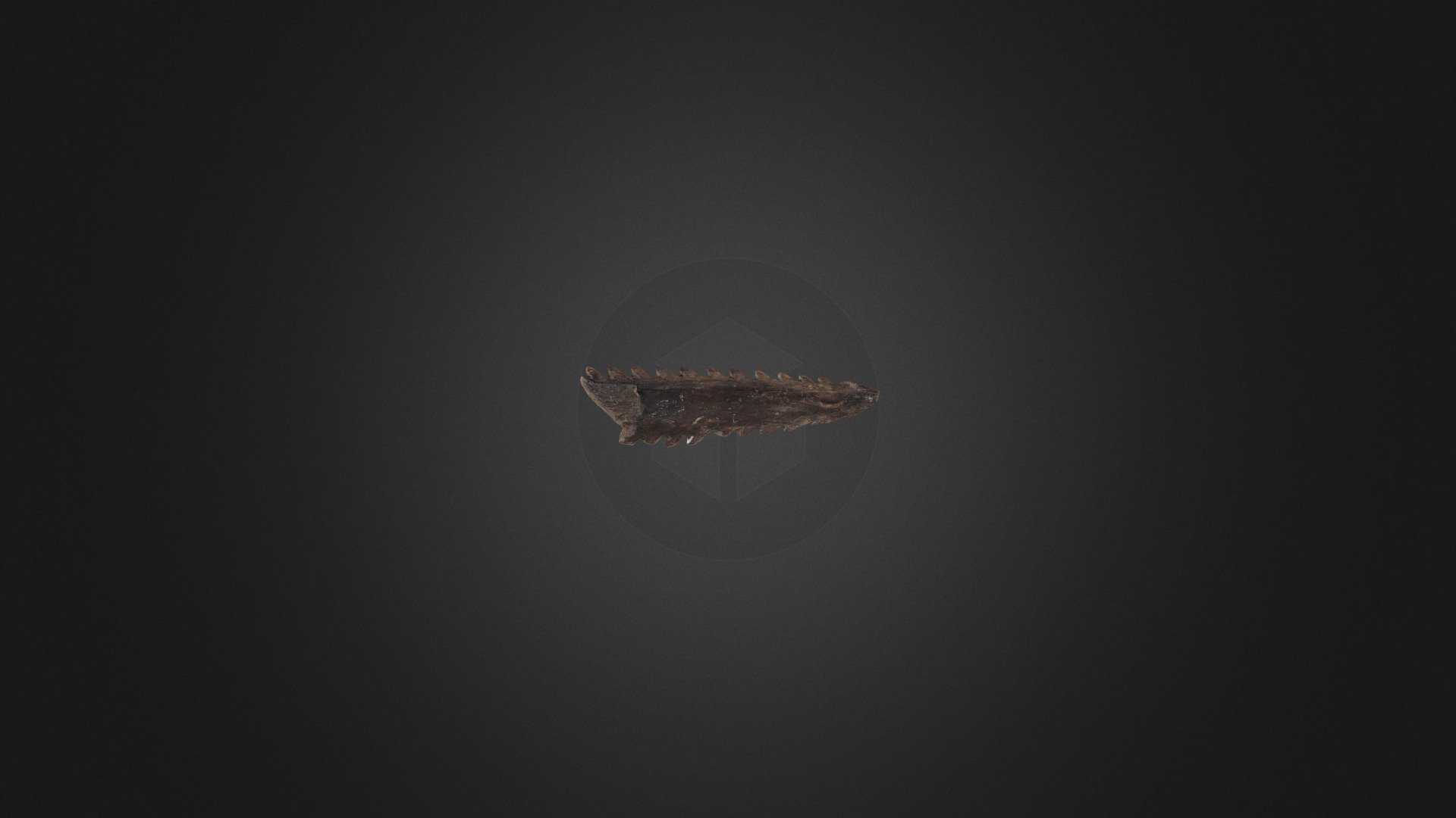Rallye archéologique - Harpon (1968-ME-1055-75s) — Sketchfab embed 3D viewer