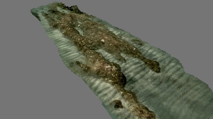 Honolii Deep Reef 3D Model