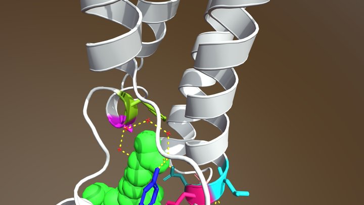 5GH9 - CBP bromodomain and H3K56ac Peptide 3D Model