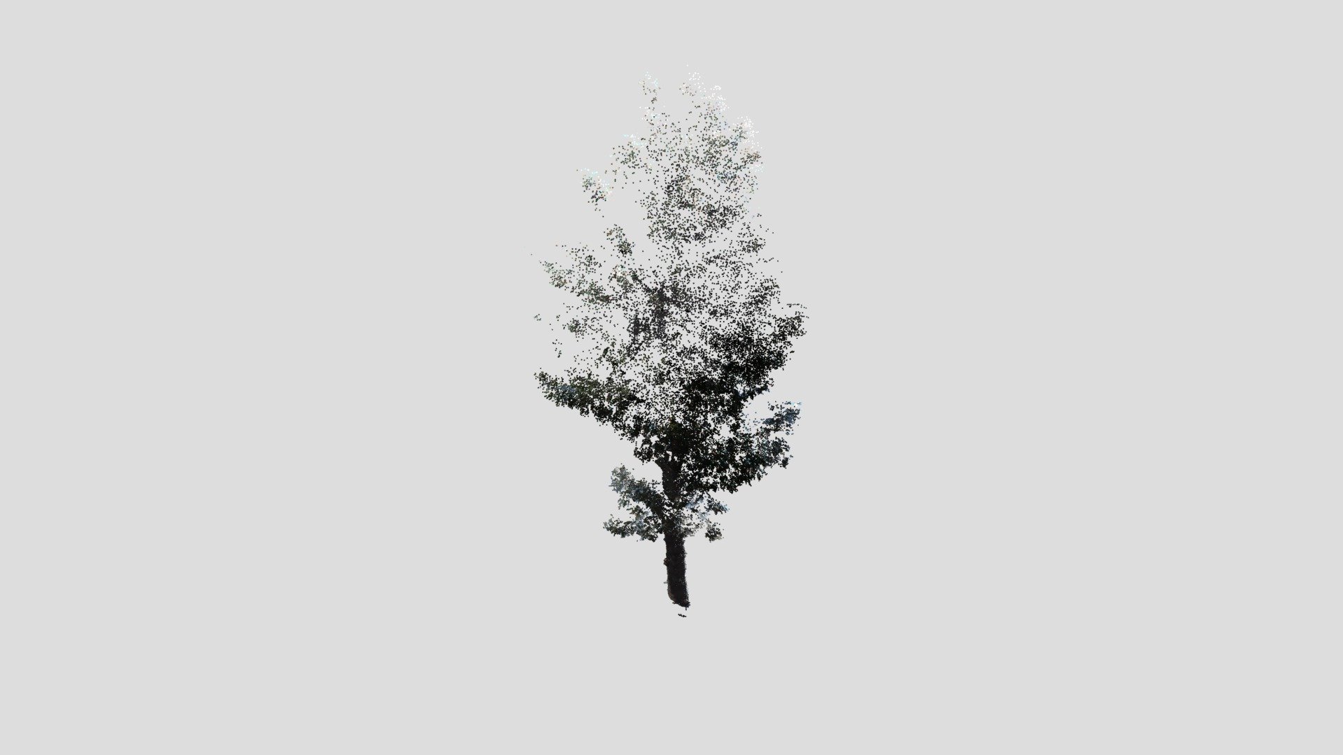 tree3-pointcloud - 3D model by Nodai_Kunii_Lab (@mmsroadsidetree ...