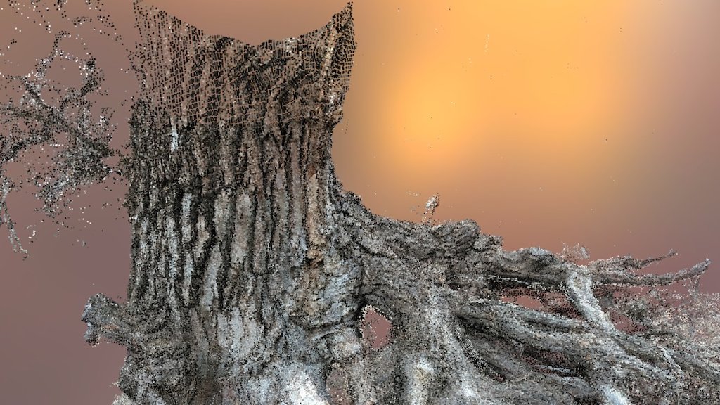 Tree Roots #1