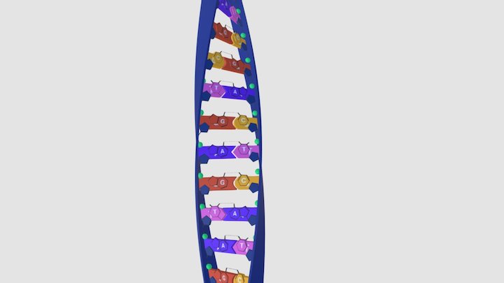 DNA V3.Light 3D Model