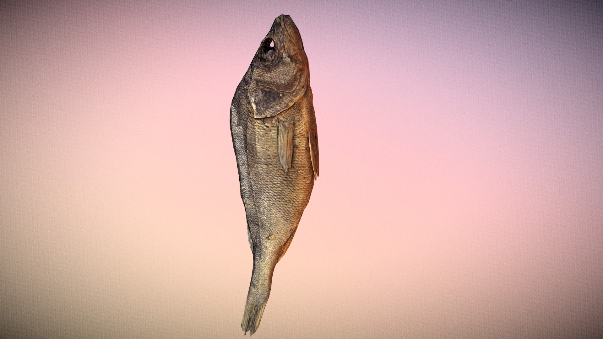 3D model small photorealistic dried fish - This is a 3D model of the small photorealistic dried fish. The 3D model is about a fish with a long tail.