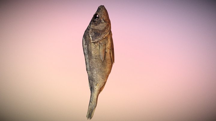 small photorealistic dried fish 3D Model