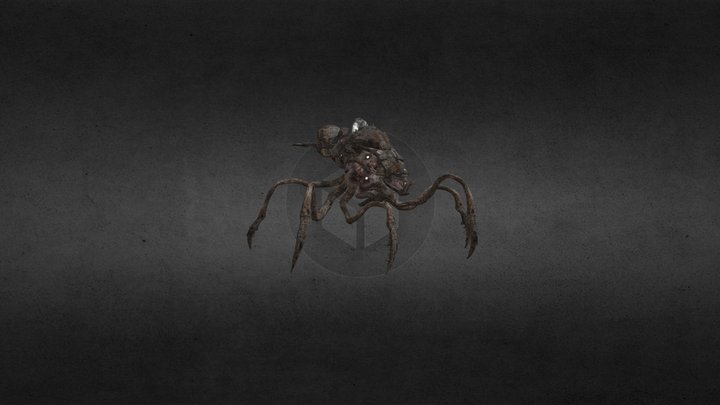 Locust Reaver 3D Model