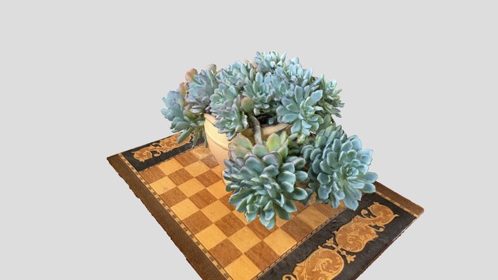 Cato em vaso 3D Model