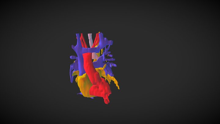 VERTICAL VEIN 3D Model