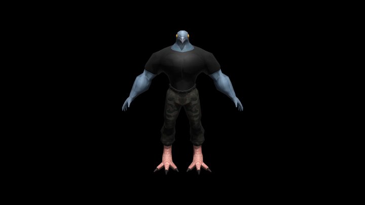 Pigeon Man 3D Model
