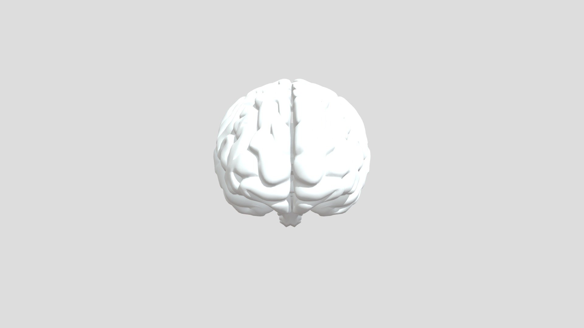 Brain