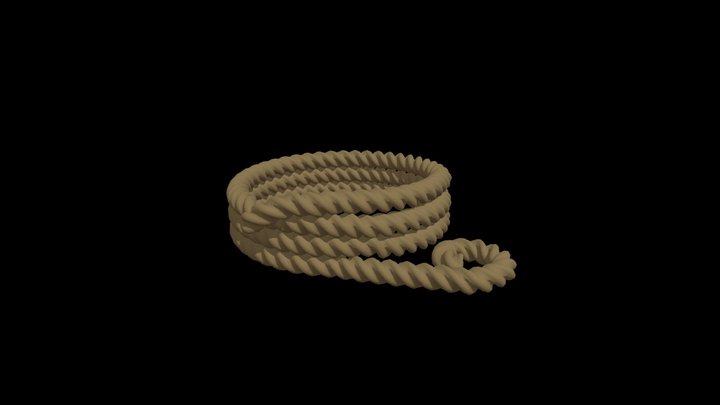 Coiled Rope 2 3D Model