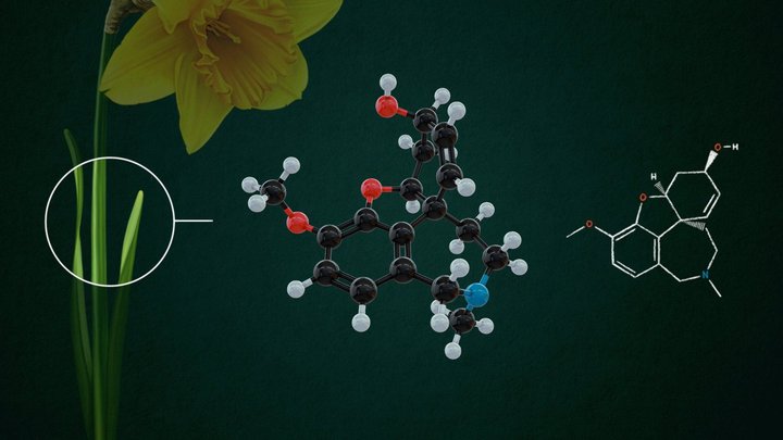 Galantamine Molecule 3D Model