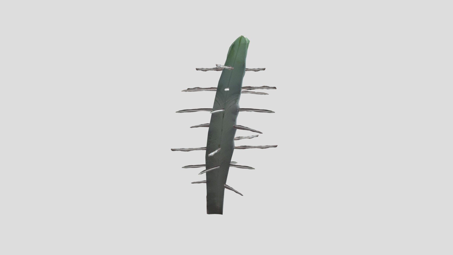 Small Long Cactus
