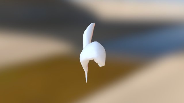 Usagimimi / Rabbit Ear 3D Model