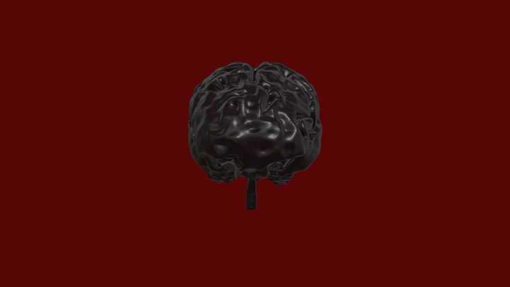 Segmentation_Brain 3D Model