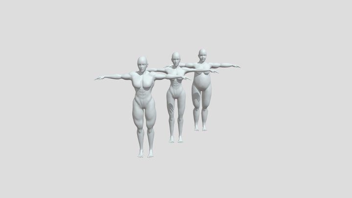 Basemash ver.00 3D Model