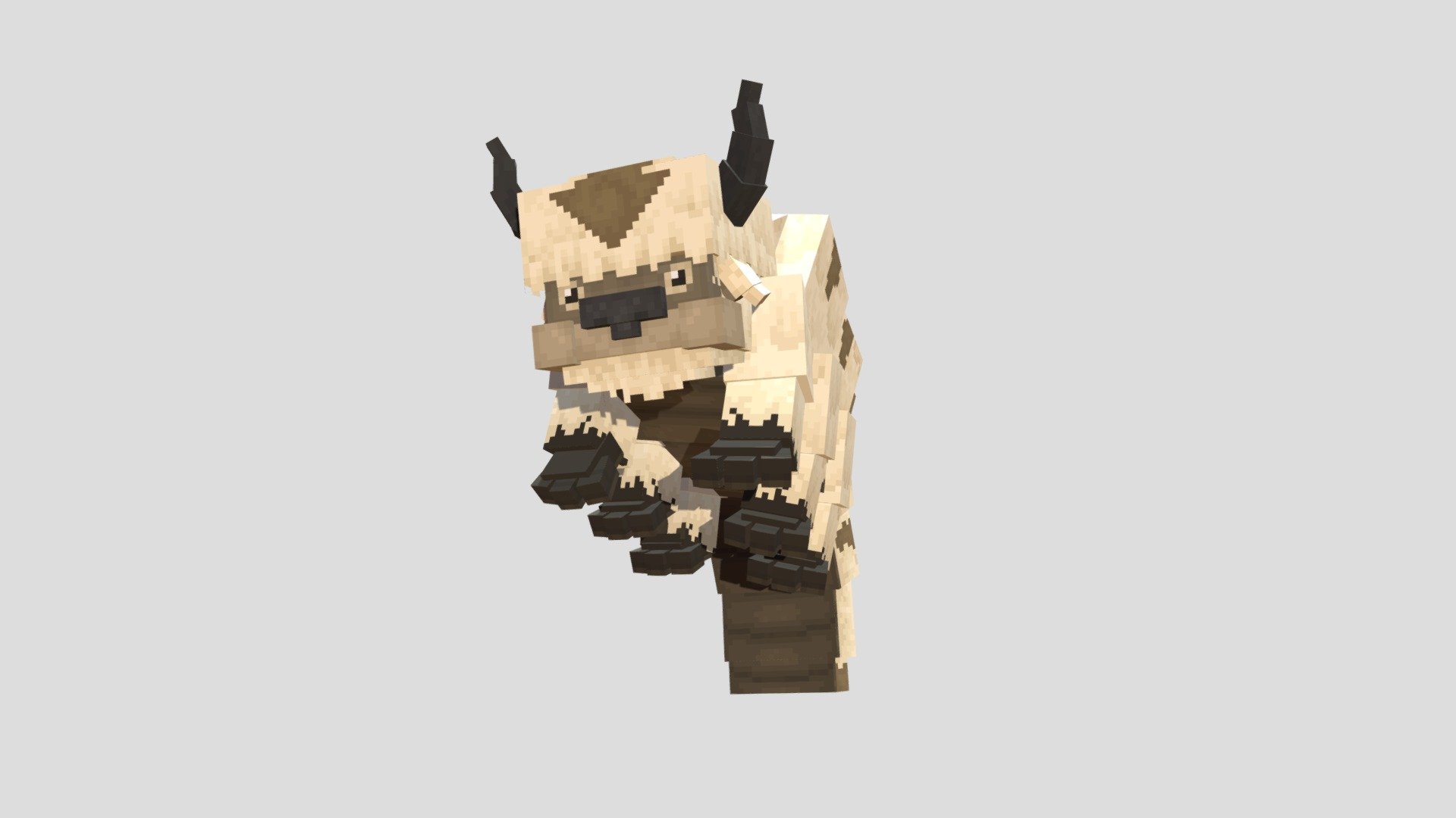 Appa voxel model