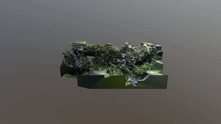 Roca Volcanica con Liquen 3D Model