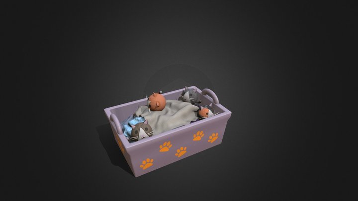 Laundry Cats 3D Model