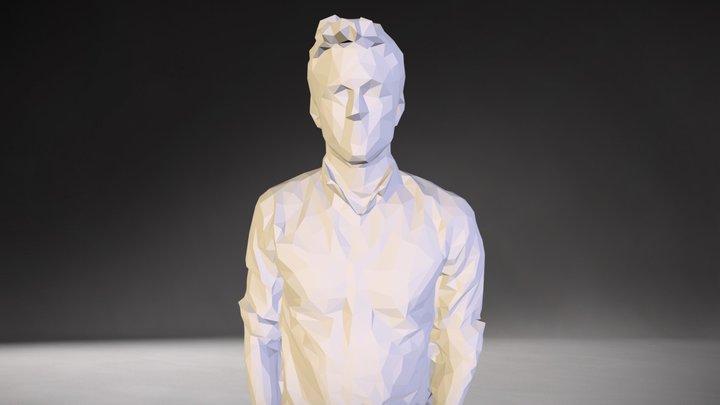 Subject - Low Poly collection 3D Model