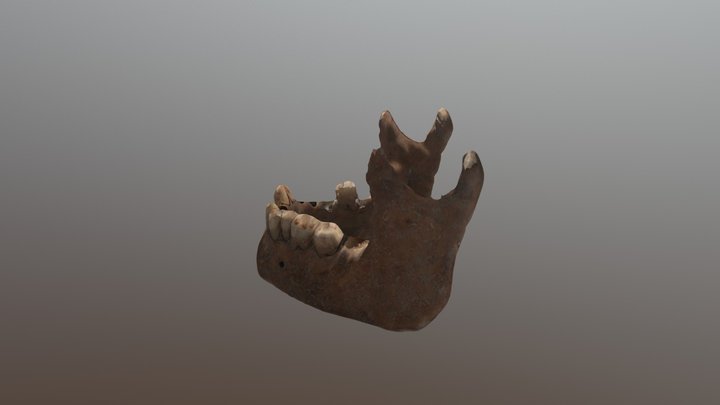 New Qlone 3D Model
