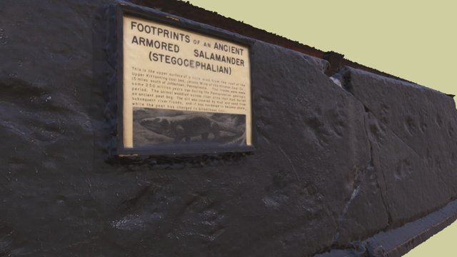 Footprints of An Ancient Salamander 3D Model