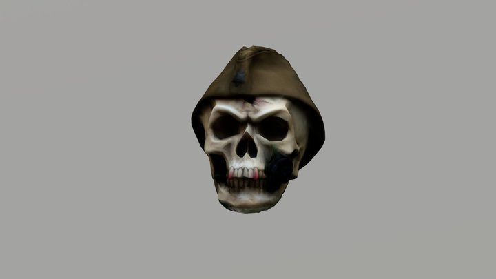 Skull mesh 3D Model