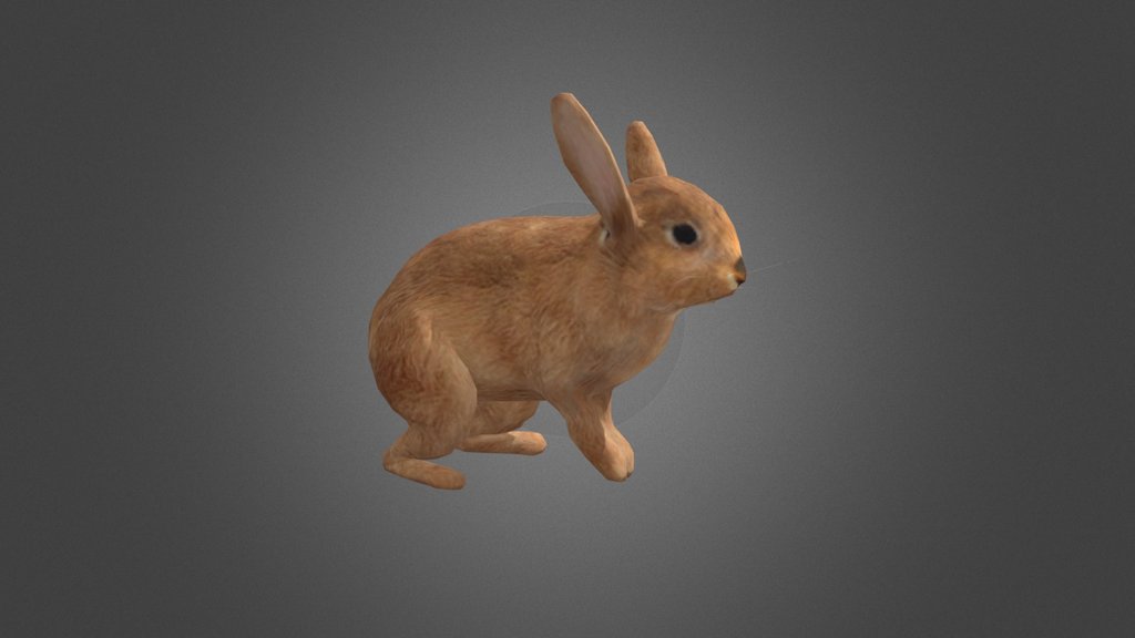 Rabbit Rigged