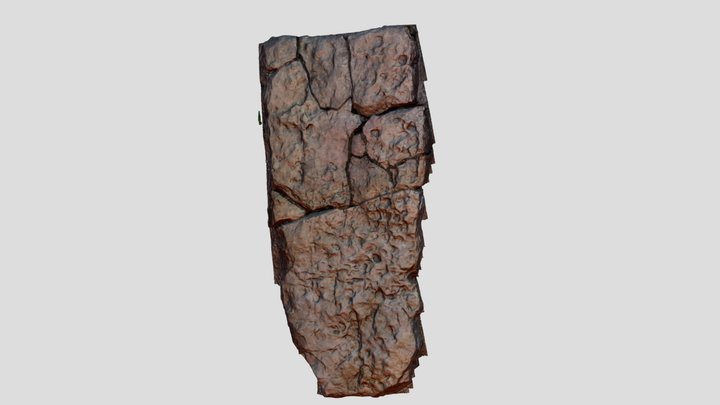R11 Stela 1_West Face 3D Model